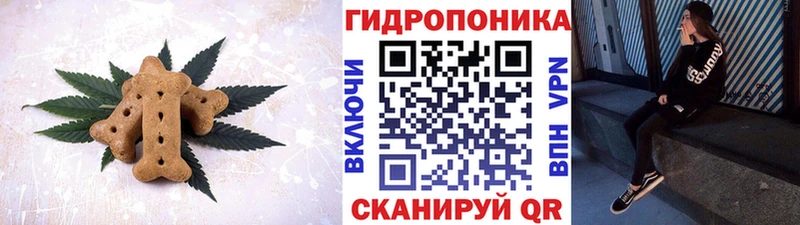 продажа наркотиков  Комсомольск  ОМГ ОМГ как войти  Canna-Cookies конопля 