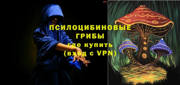 Альфа ПВП Нея